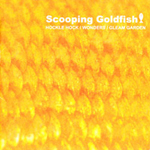 Scooping Goldfish